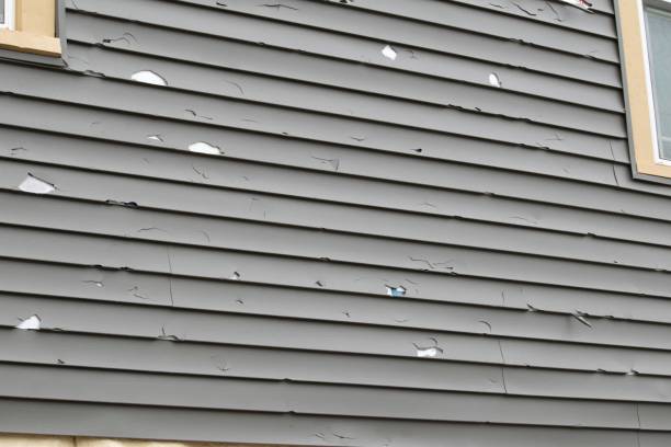 Trusted Locust, NC Siding Experts